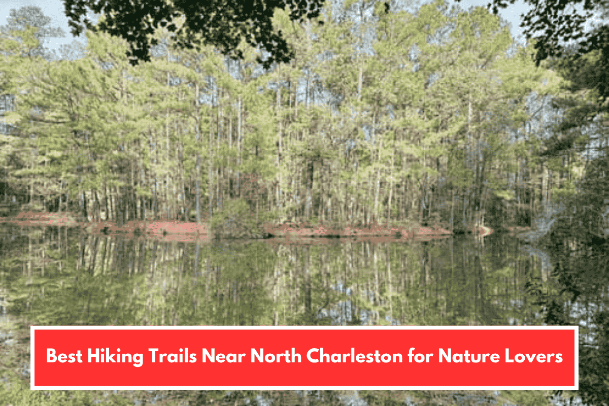Best Hiking Trails Near North Charleston for Nature Lovers