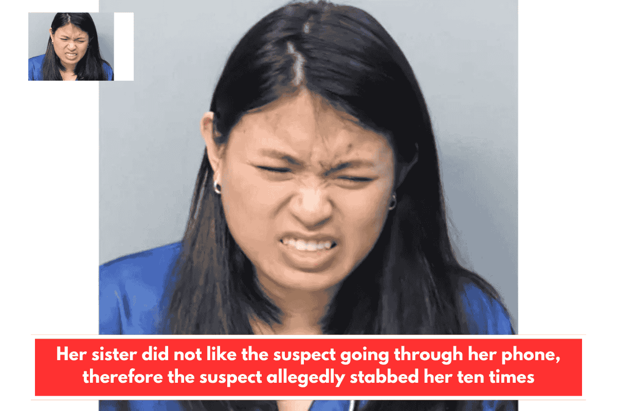 Her sister did not like the suspect going through her phone, therefore the suspect allegedly stabbed her ten times