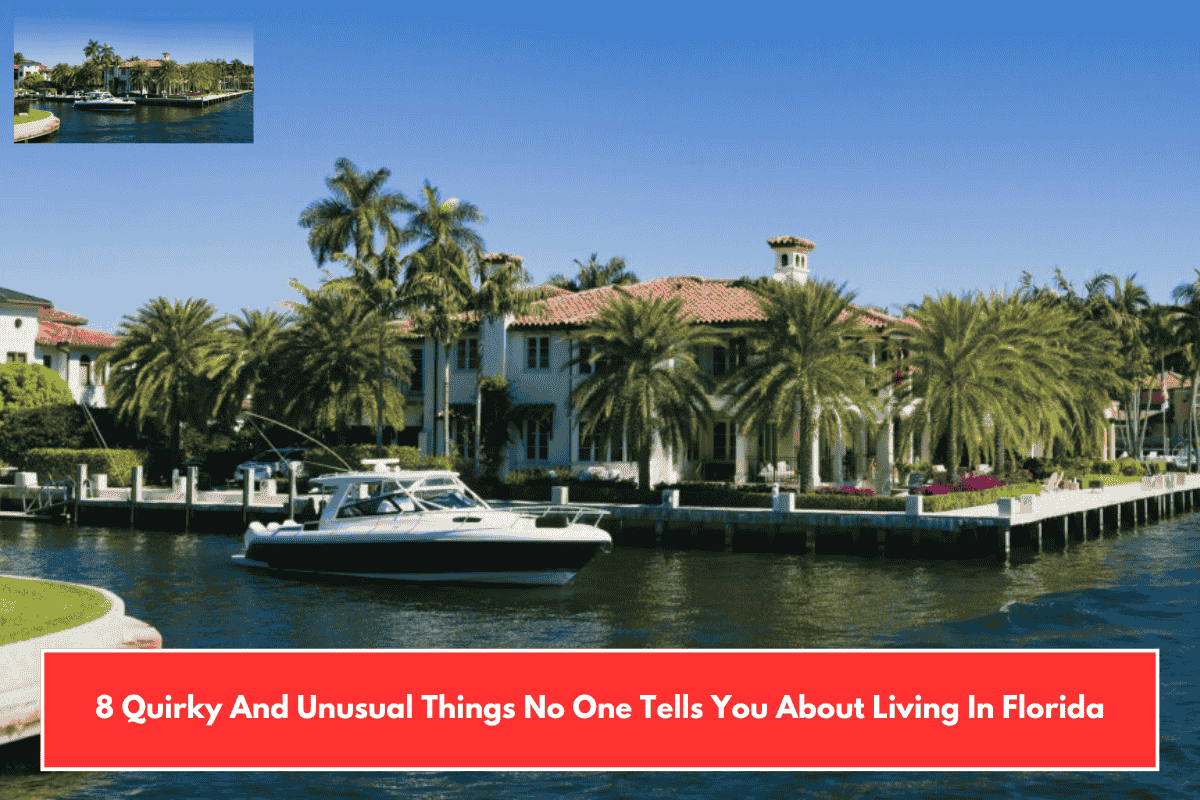 8 Quirky And Unusual Things No One Tells You About Living In Florida