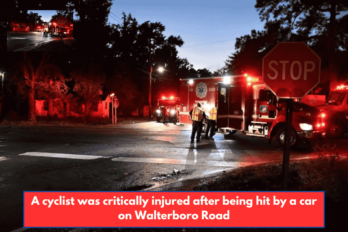 A cyclist was critically injured after being hit by a car on Walterboro Road