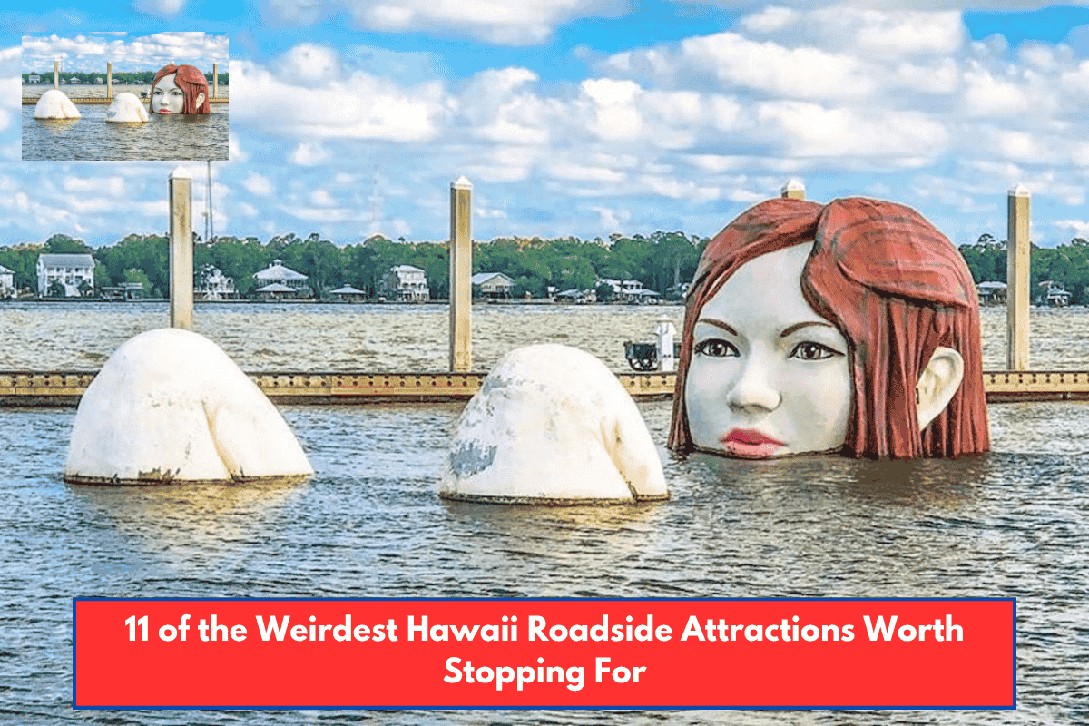 11 of the Weirdest Hawaii Roadside Attractions Worth Stopping For