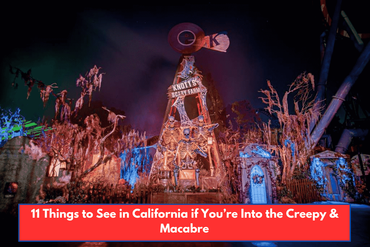11 Things to See in California if You’re Into the Creepy & Macabre