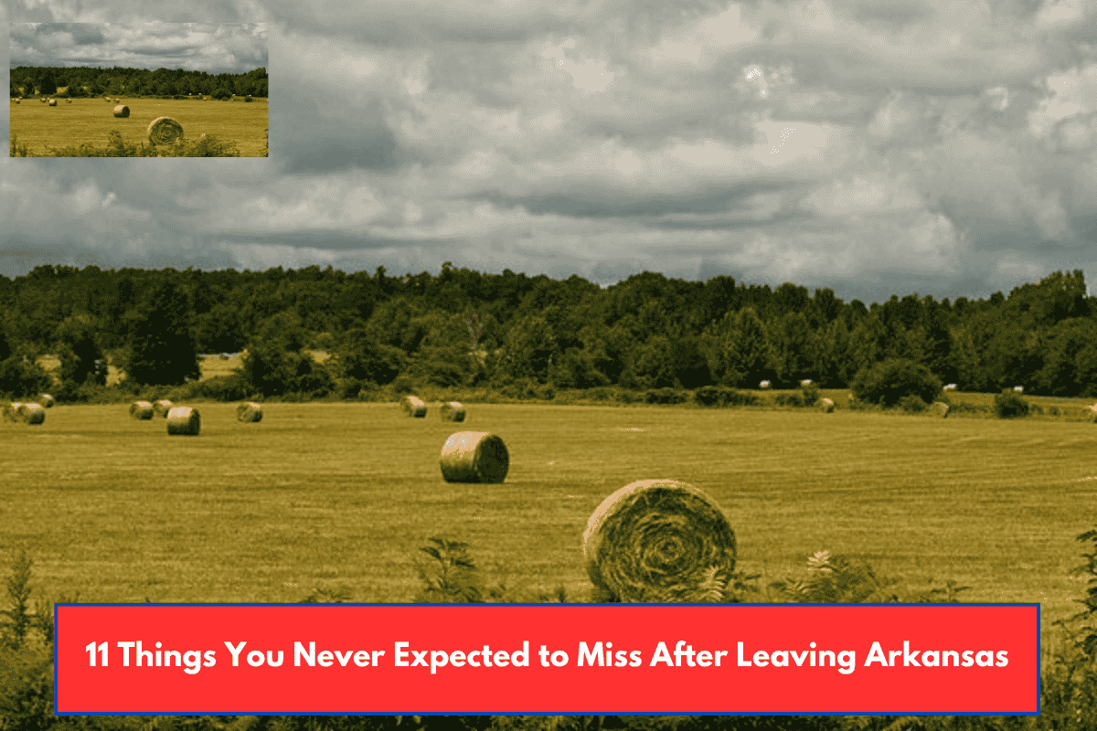 11 Things You Never Expected to Miss After Leaving Arkansas