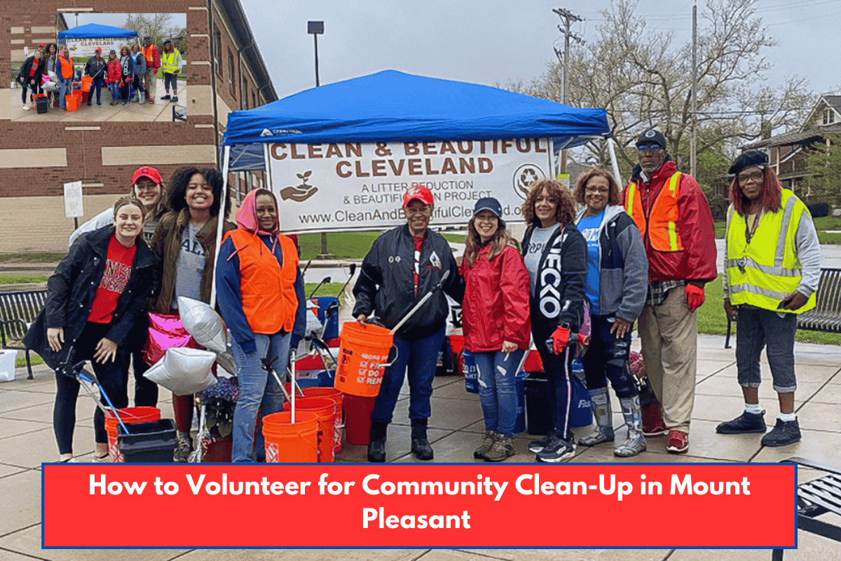 How to Volunteer for Community Clean-Up in Mount Pleasant
