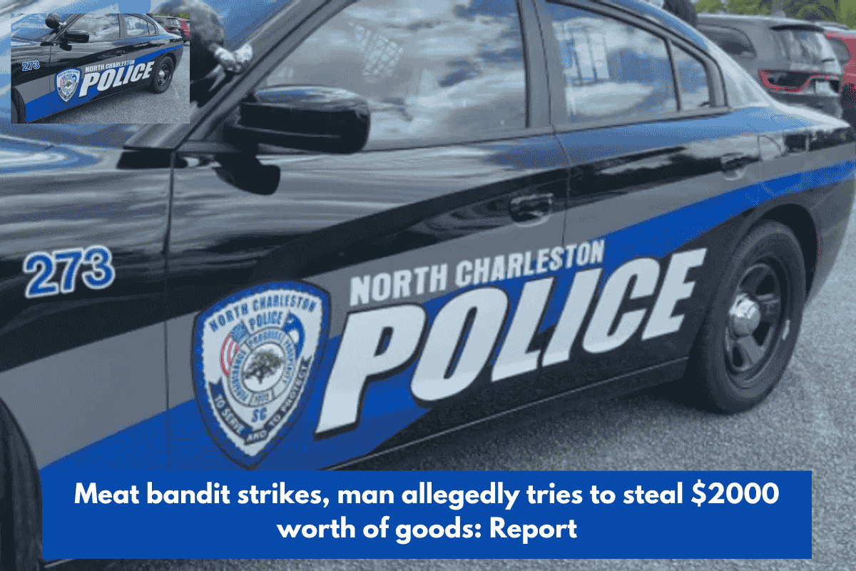 Meat bandit strikes, man allegedly tries to steal $2000 worth of goods: Report