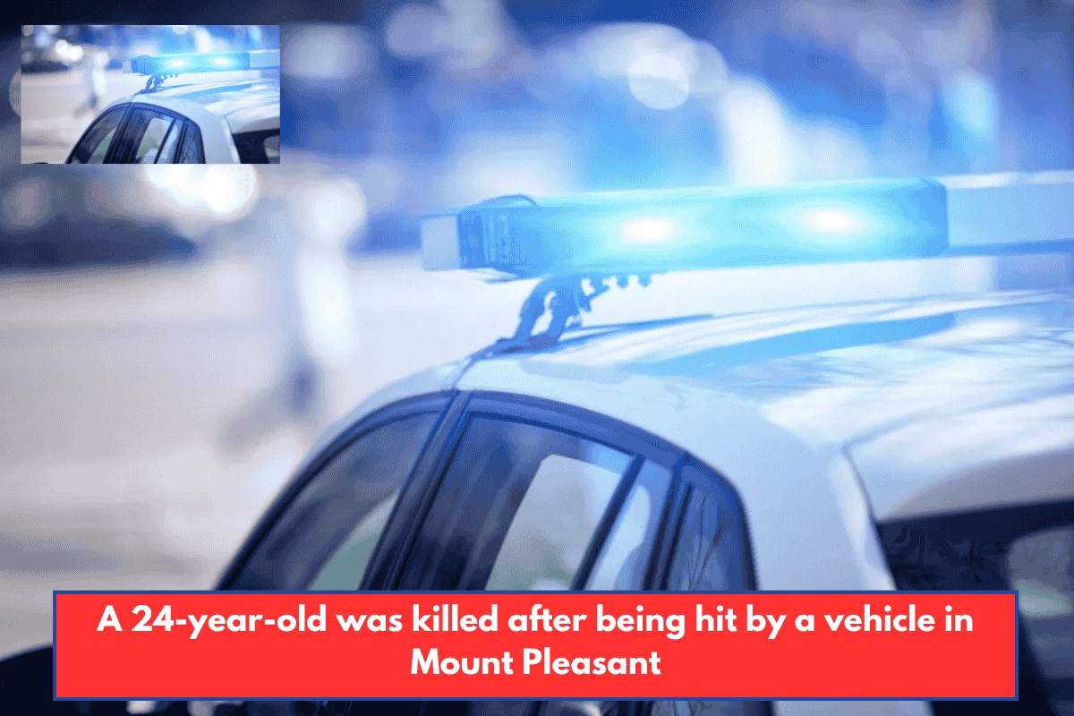 A 24-year-old was killed after being hit by a vehicle in Mount Pleasant