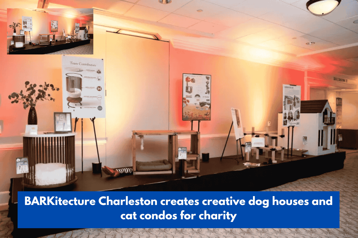 BARKitecture Charleston creates creative dog houses and cat condos for charity