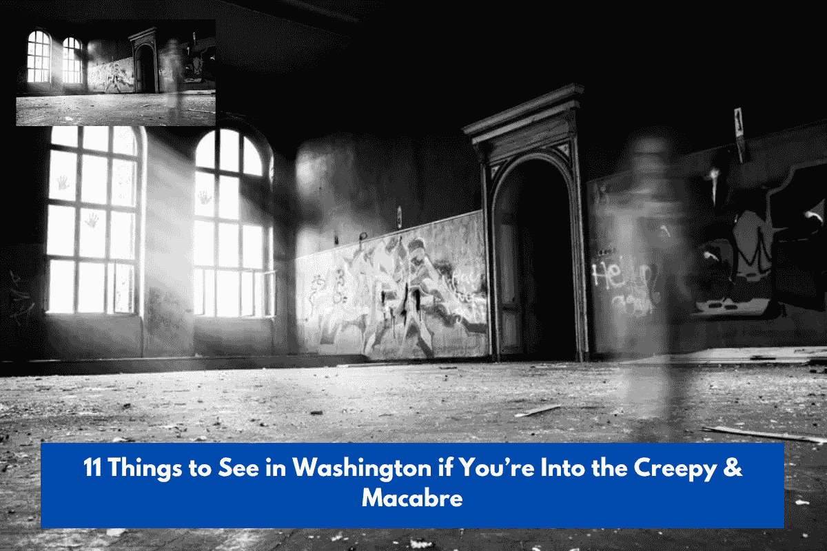 11 Things to See in Washington if You’re Into the Creepy & Macabre