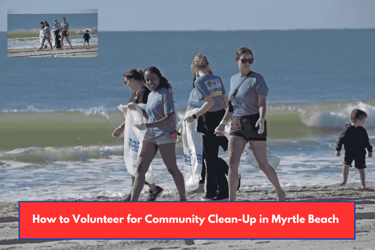 How to Volunteer for Community Clean-Up in Myrtle Beach