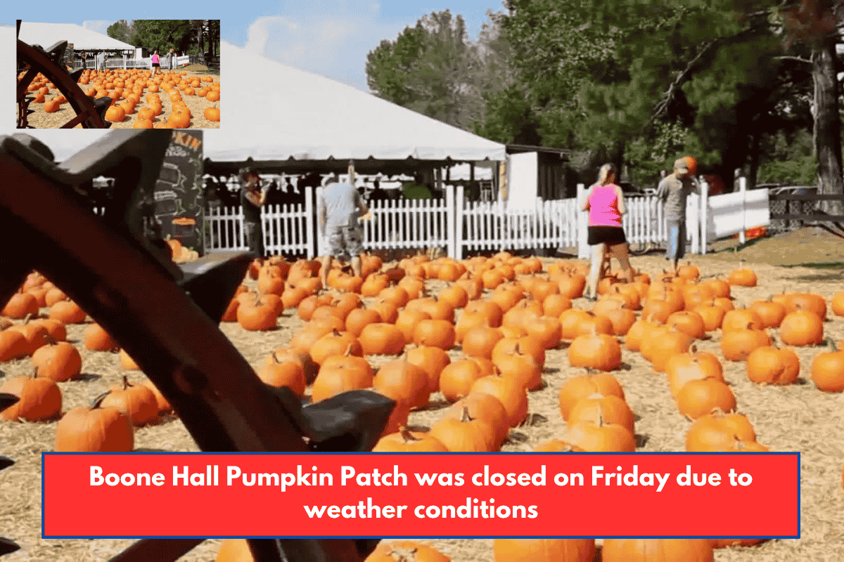 Boone Hall Pumpkin Patch was closed on Friday due to weather conditions