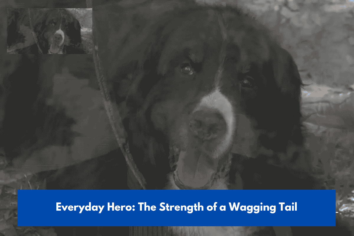 Everyday Hero: The Strength of a Wagging Tail
