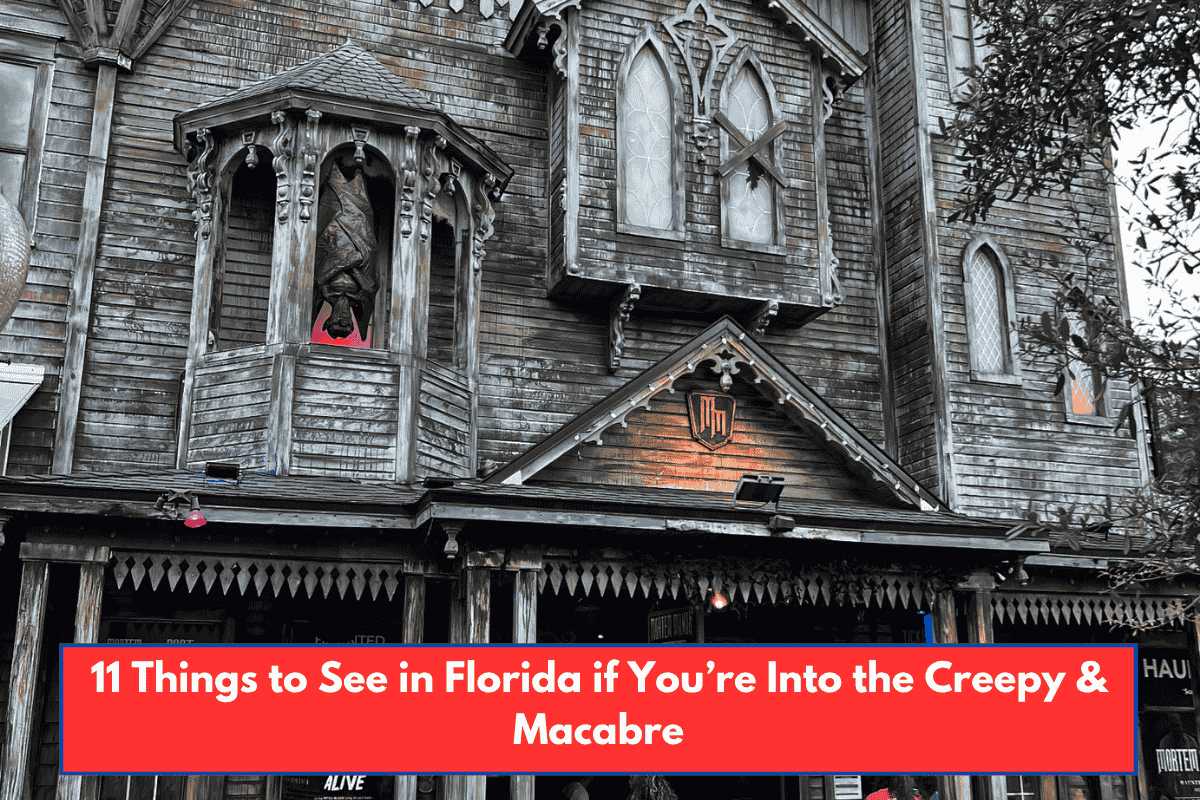 11 Things to See in Florida if You’re Into the Creepy & Macabre