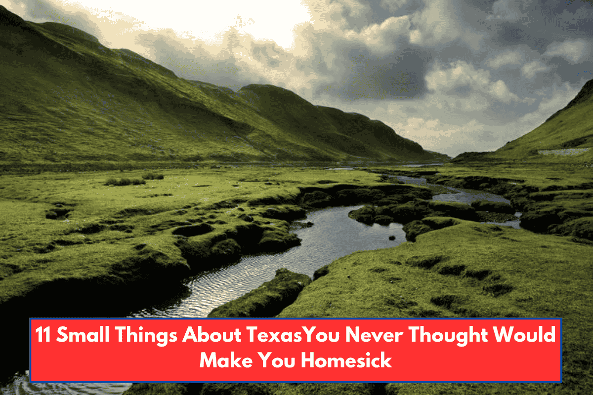 11 Small Things About TexasYou Never Thought Would Make You Homesick