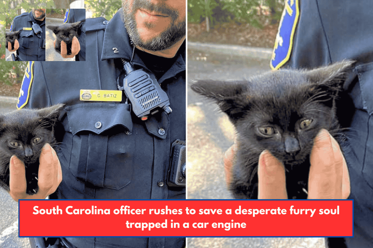 South Carolina officer rushes to save a desperate furry soul trapped in a car engine