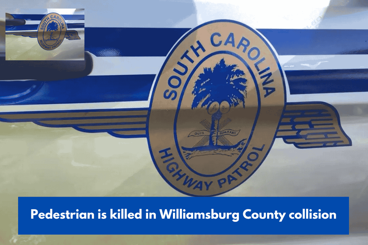 Pedestrian is killed in Williamsburg County collision