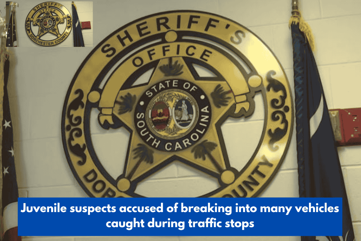 Juvenile suspects accused of breaking into many vehicles caught during traffic stops