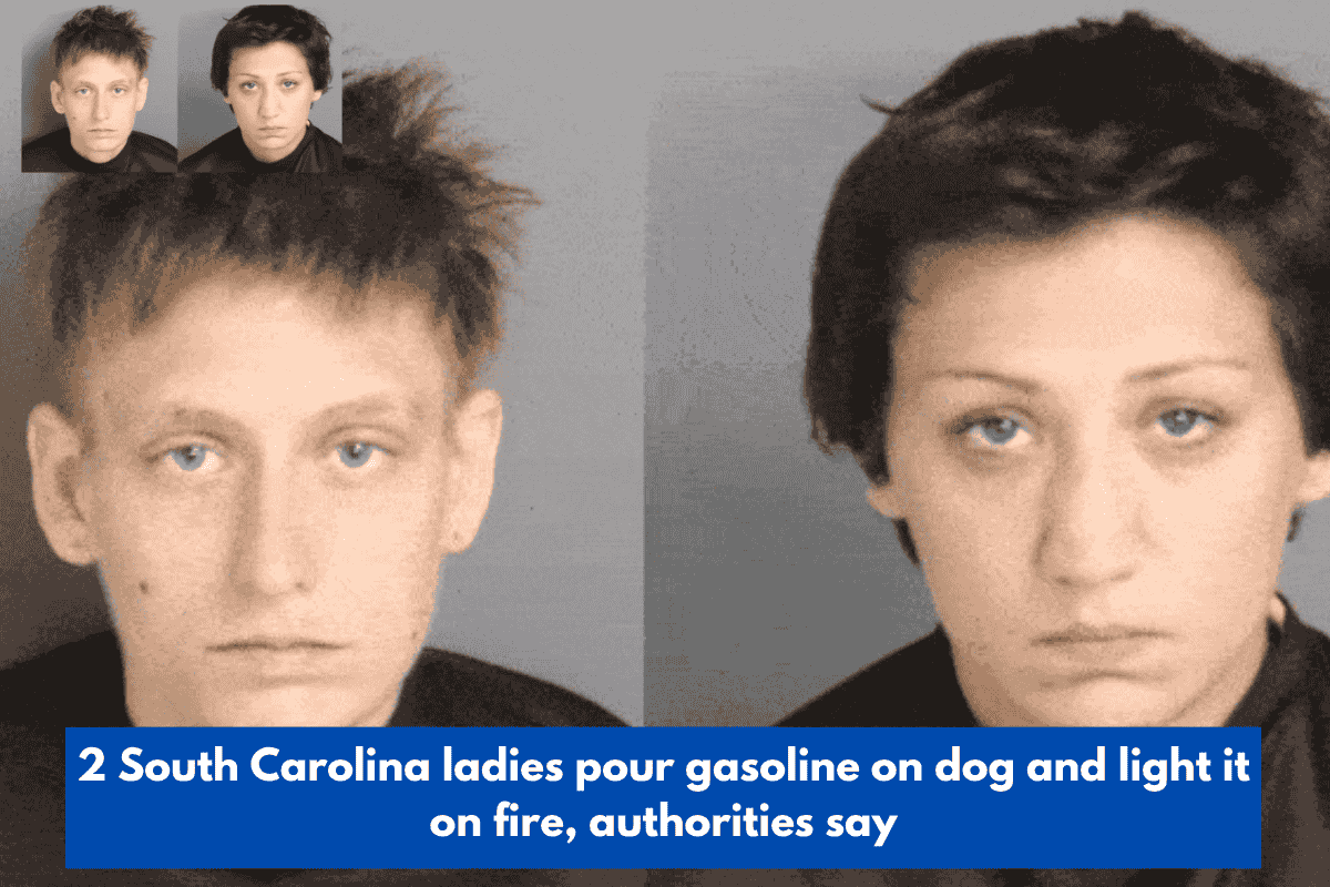 2 South Carolina ladies pour gasoline on dog and light it on fire, authorities say