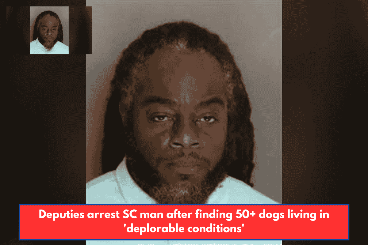 Deputies arrest SC man after finding 50+ dogs living in 'deplorable conditions'