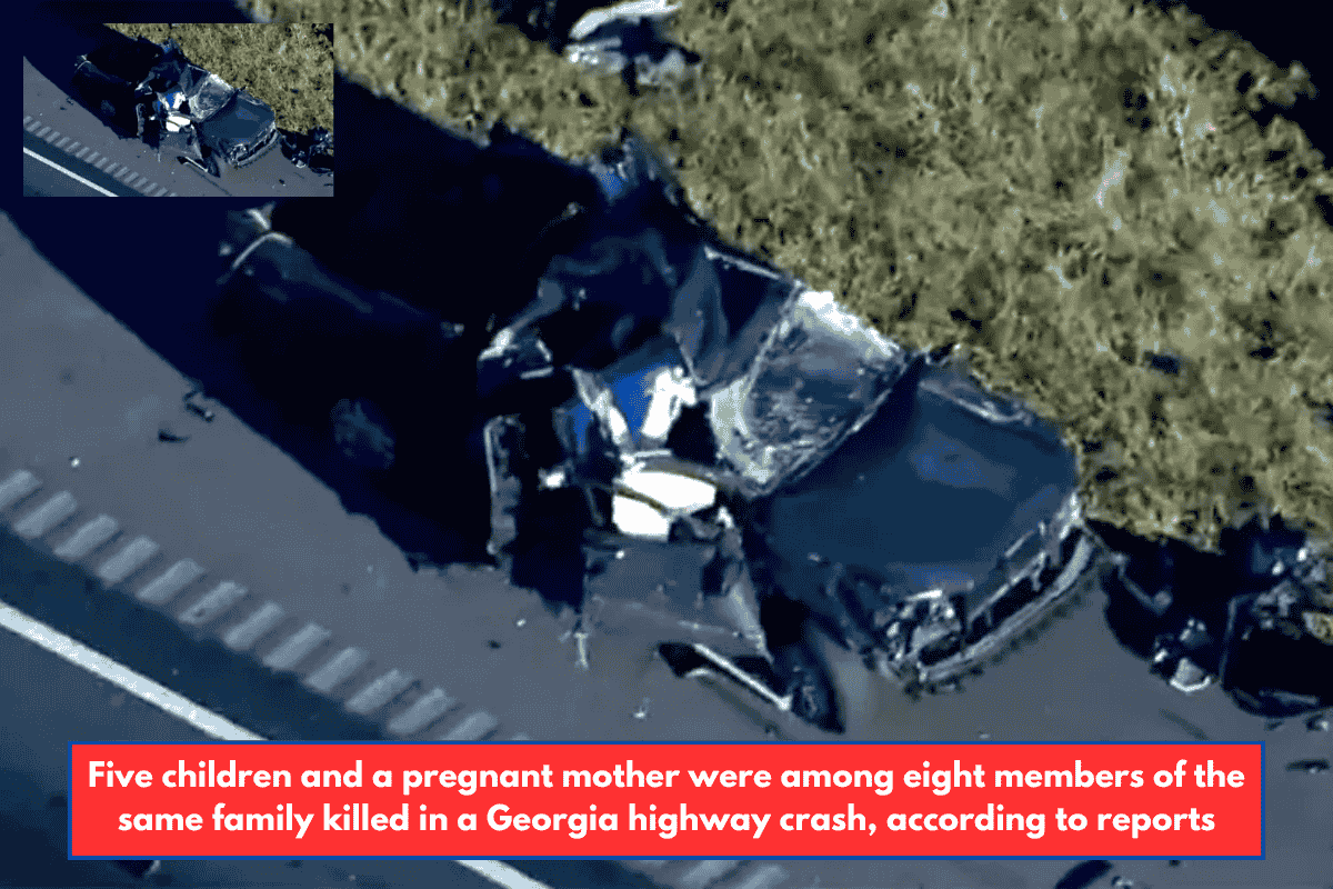 Five children and a pregnant mother were among eight members of the same family killed in a Georgia highway crash, according to reports