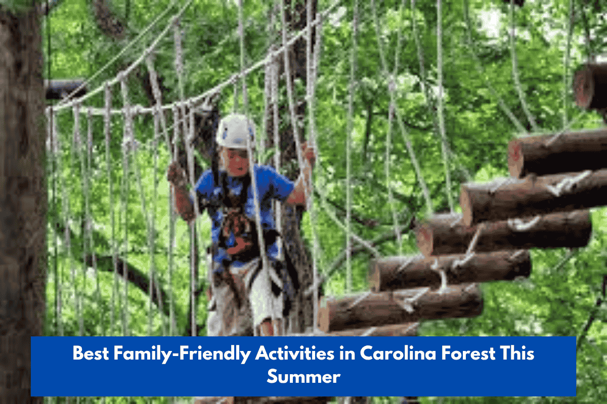 Best Family-Friendly Activities in Carolina Forest This Summer