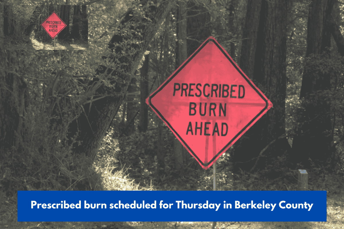 Prescribed burn scheduled for Thursday in Berkeley County