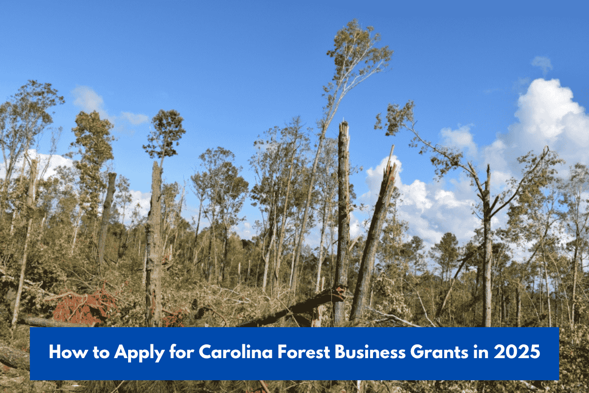 How to Apply for Carolina Forest Business Grants in 2025