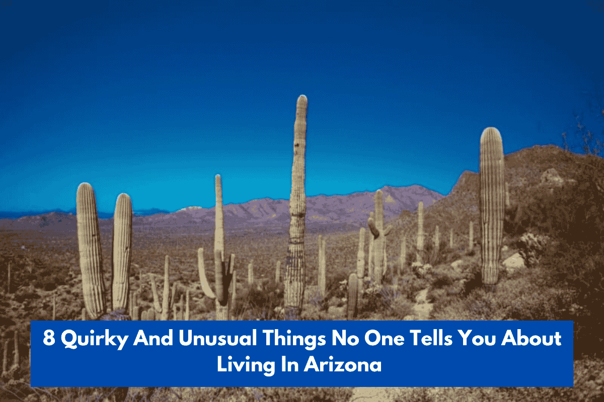 8 Quirky And Unusual Things No One Tells You About Living In Arizona