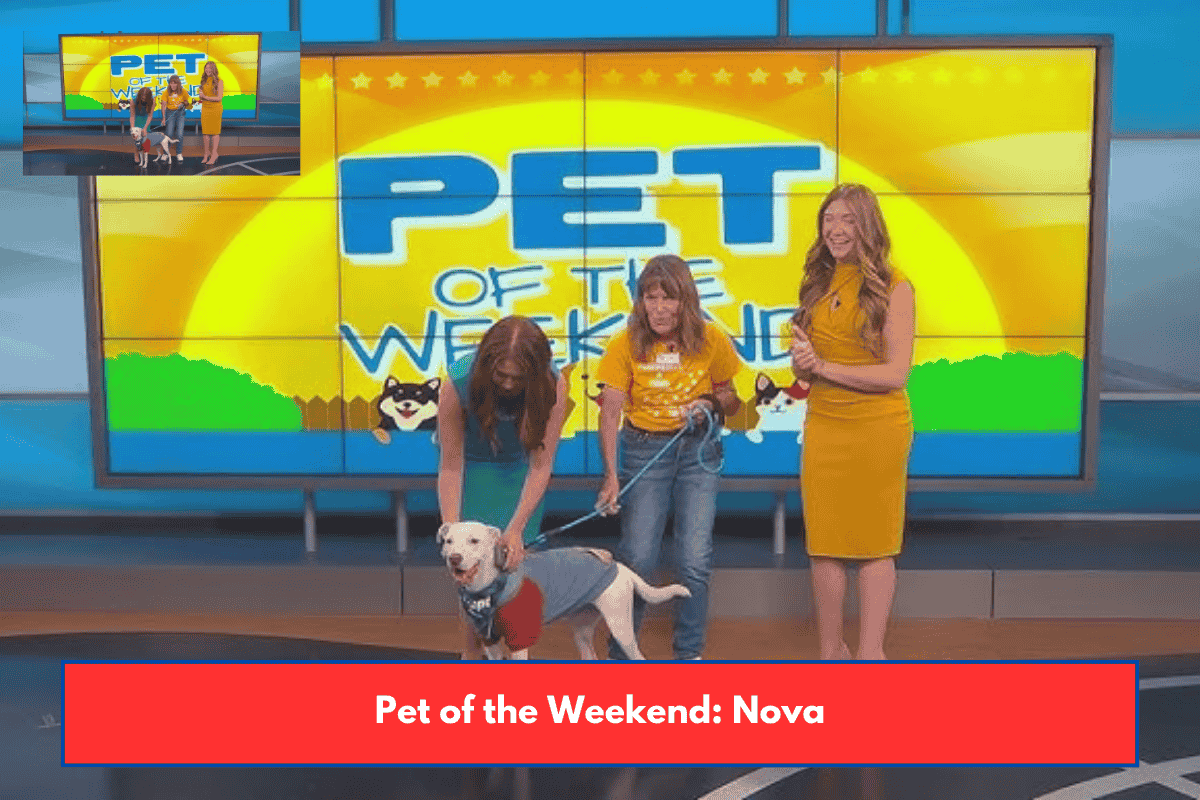 Pet of the Weekend: Nova