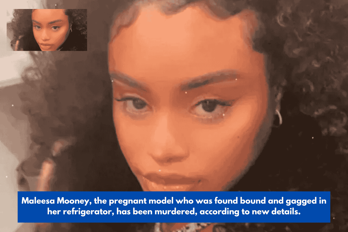 Maleesa Mooney, the pregnant model who was found bound and gagged in her refrigerator, has been murdered, according to new details.