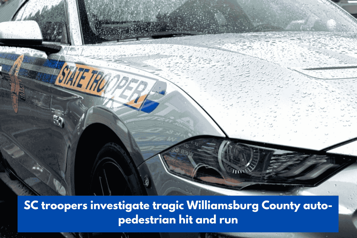 SC troopers investigate tragic Williamsburg County auto-pedestrian hit and run