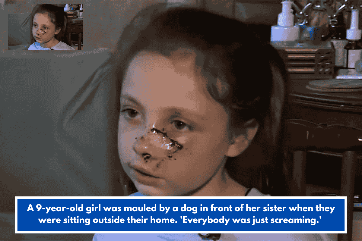 A 9-year-old girl was mauled by a dog in front of her sister when they were sitting outside their home. 'Everybody was just screaming.'