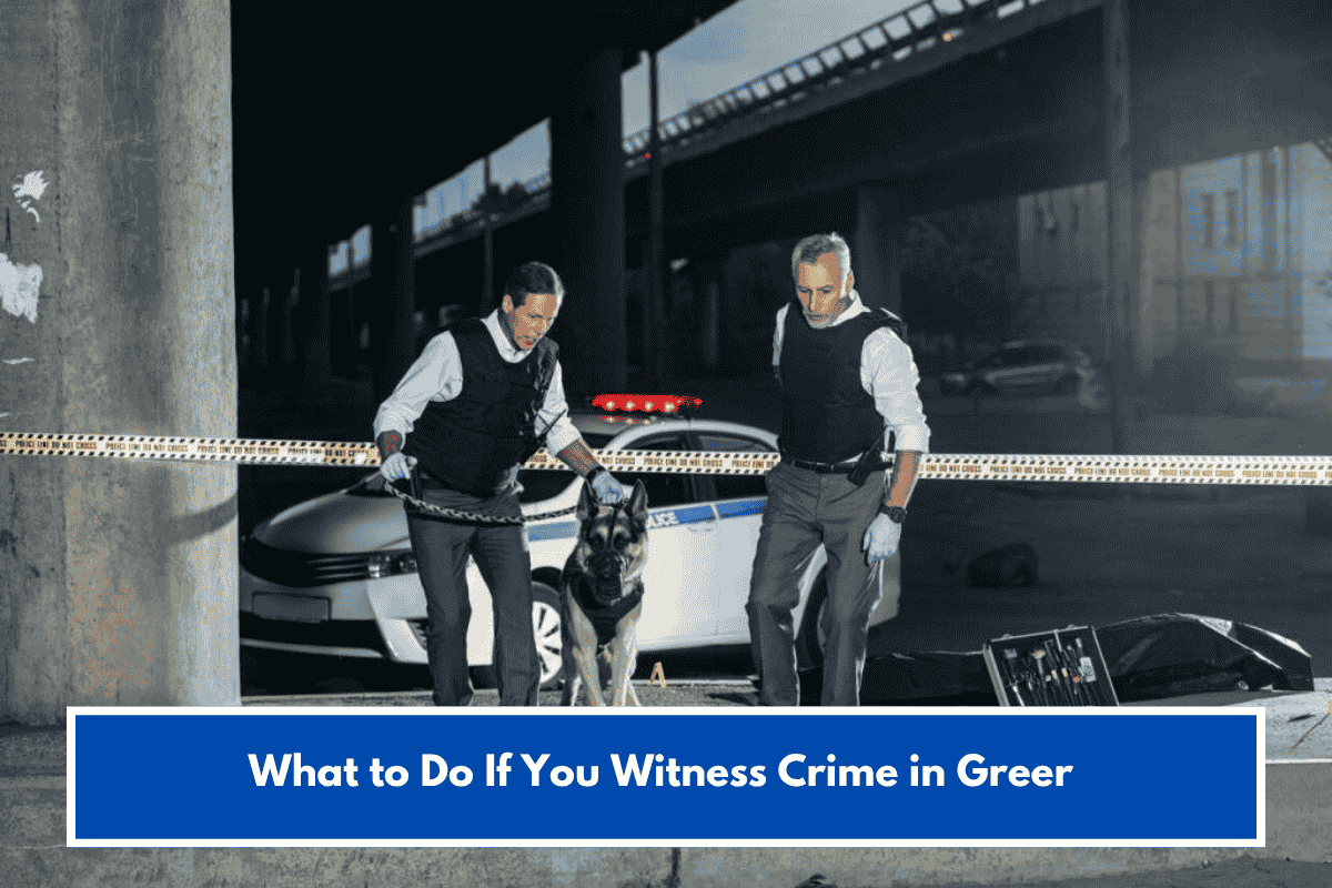 What to Do If You Witness Crime in Greer