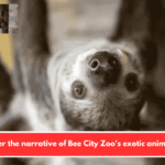 Discover the narrative of Bee City Zoo's exotic animal care