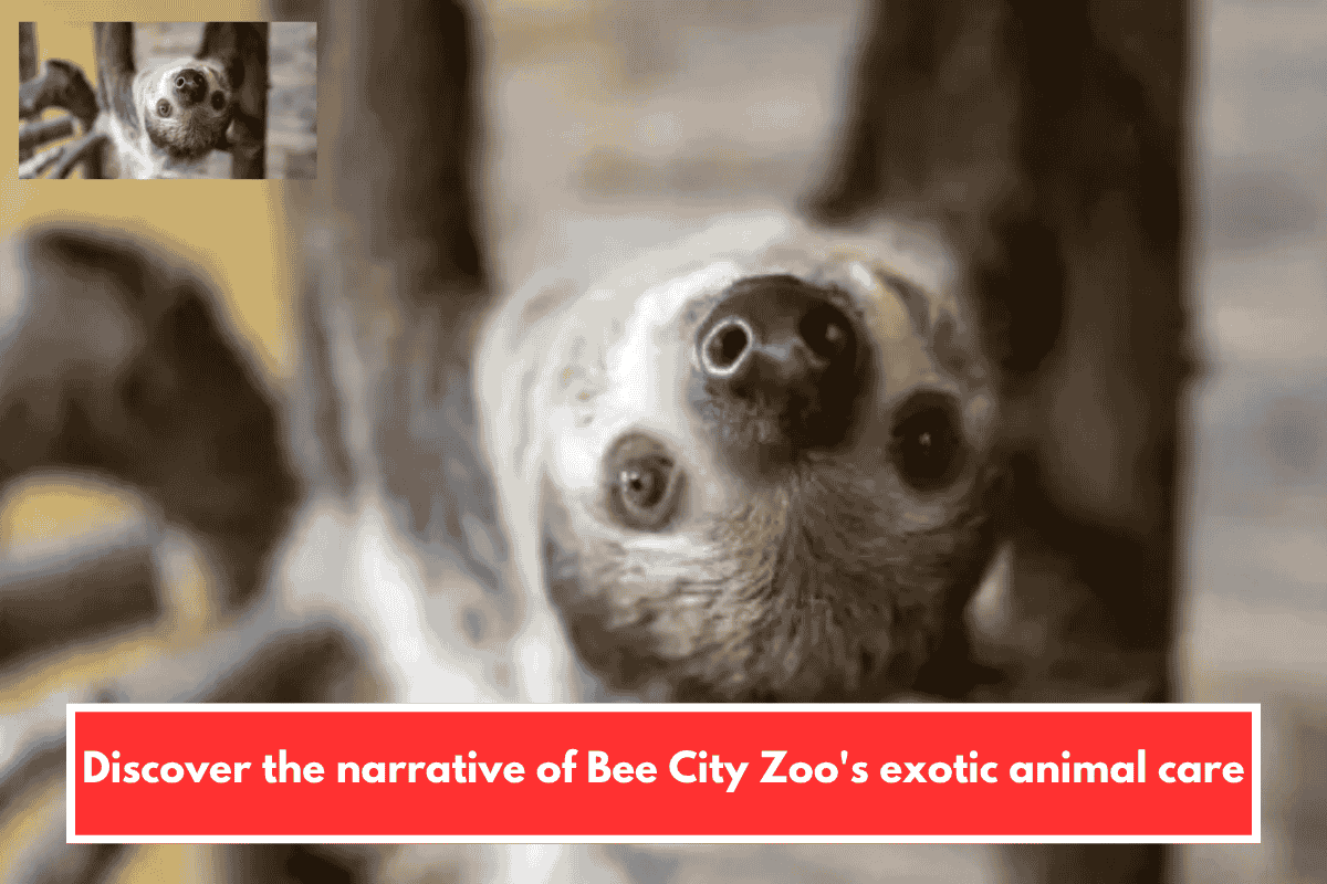 Discover the narrative of Bee City Zoo's exotic animal care