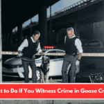 What to Do If You Witness Crime in Goose Creek