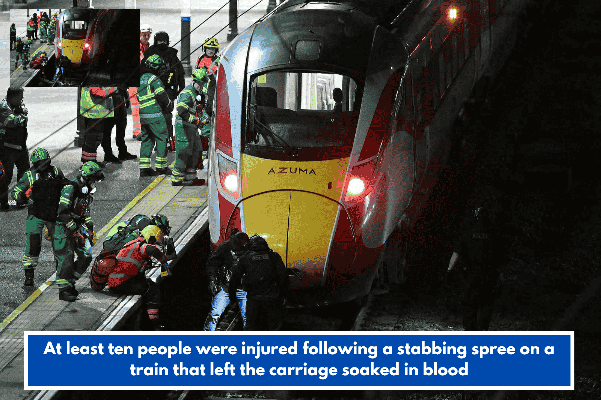 At least ten people were injured following a stabbing spree on a train that left the carriage soaked in blood