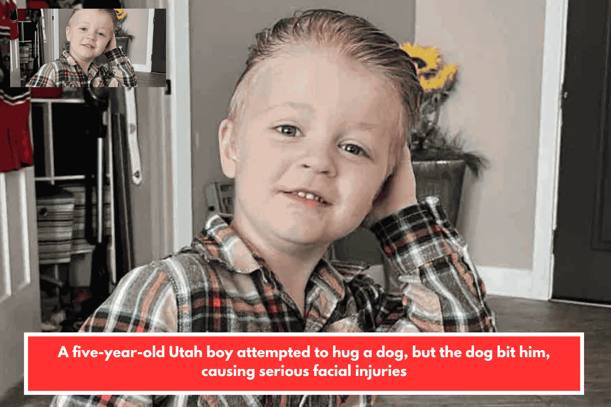 A five-year-old Utah boy attempted to hug a dog, but the dog bit him, causing serious facial injuries
