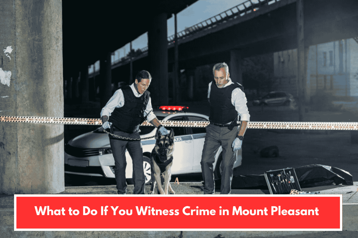 What to Do If You Witness Crime in Mount Pleasant