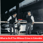 What to Do If You Witness Crime in Columbia