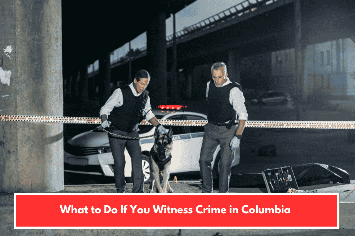What to Do If You Witness Crime in Columbia