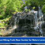 Best Hiking Trails Near Sumter for Nature Lovers