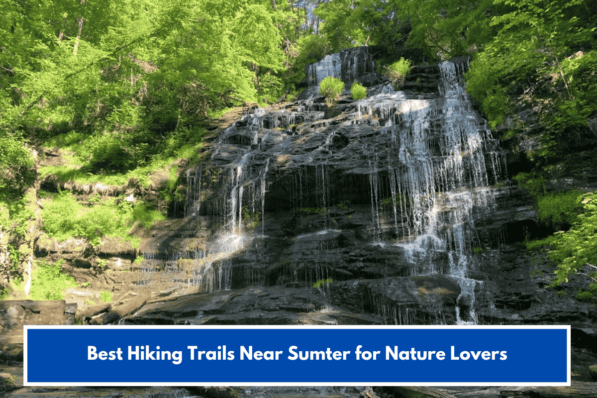 Best Hiking Trails Near Sumter for Nature Lovers
