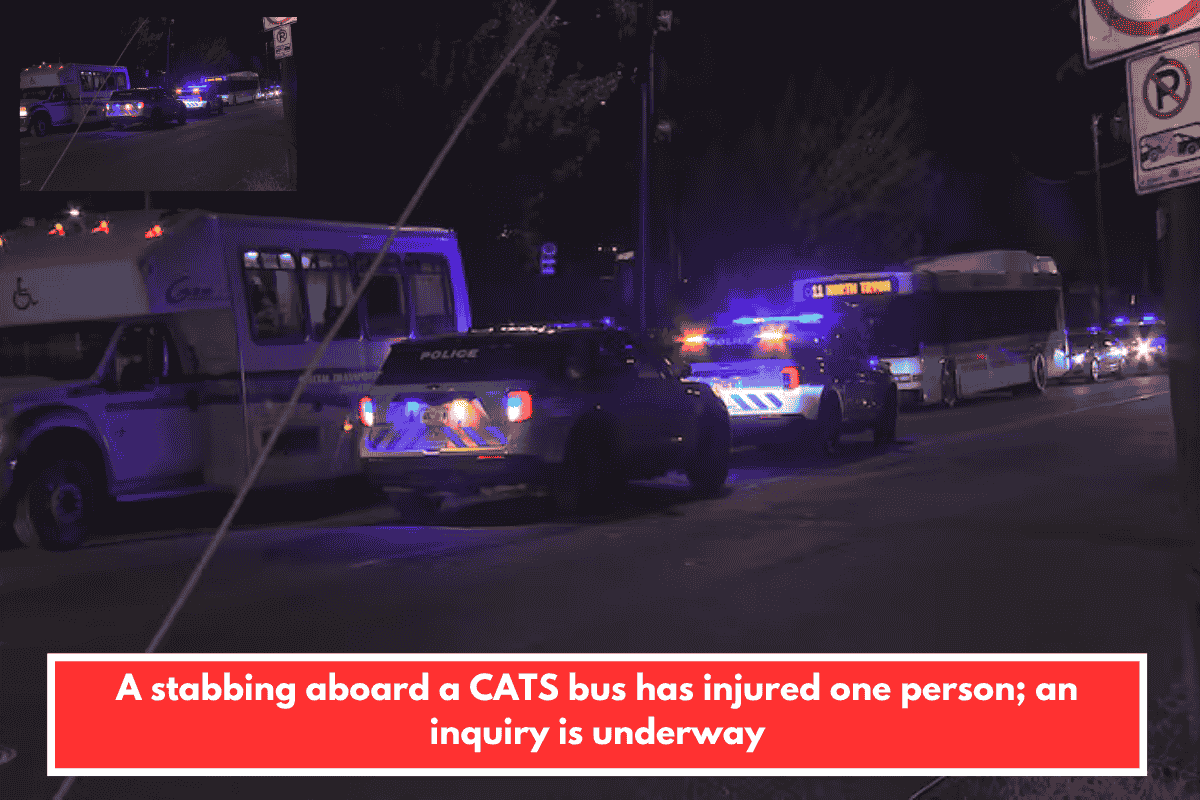 A stabbing aboard a CATS bus has injured one person; an inquiry is underway