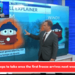 Steps to take once the first freeze arrives next week