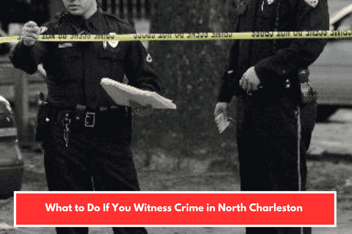 What to Do If You Witness Crime in North Charleston