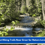 Best Hiking Trails Near Greer for Nature Lovers