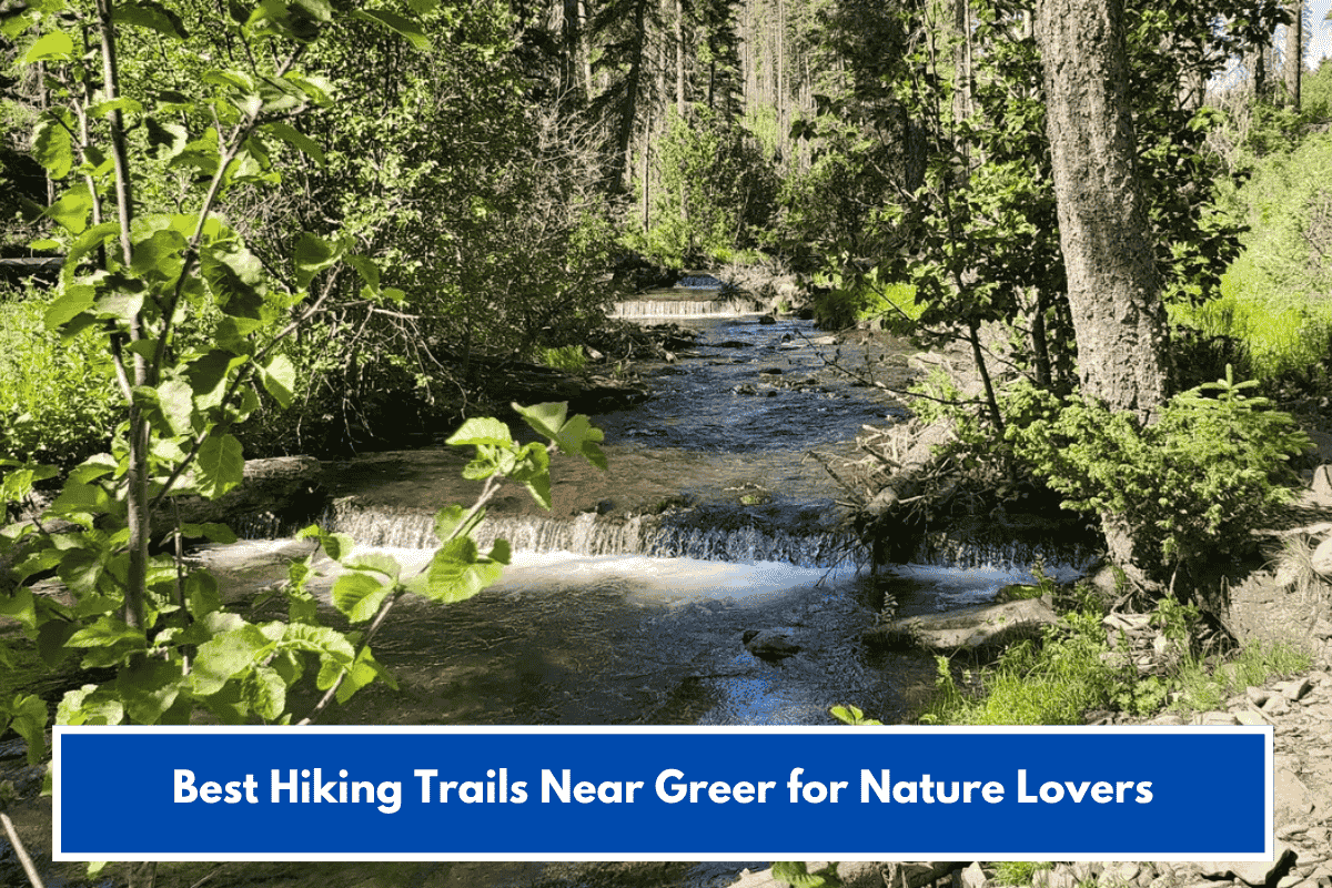 Best Hiking Trails Near Greer for Nature Lovers
