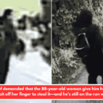 The thief demanded that the 88-year-old woman give him her ring. Then he bit off her finger to steal it—and he's still on the run with both