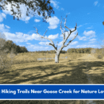 Best Hiking Trails Near Goose Creek for Nature Lovers