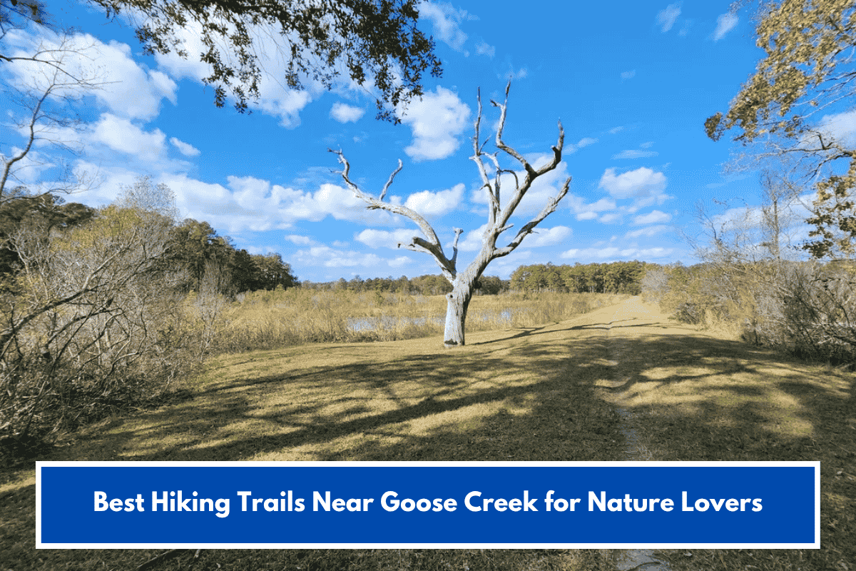 Best Hiking Trails Near Goose Creek for Nature Lovers